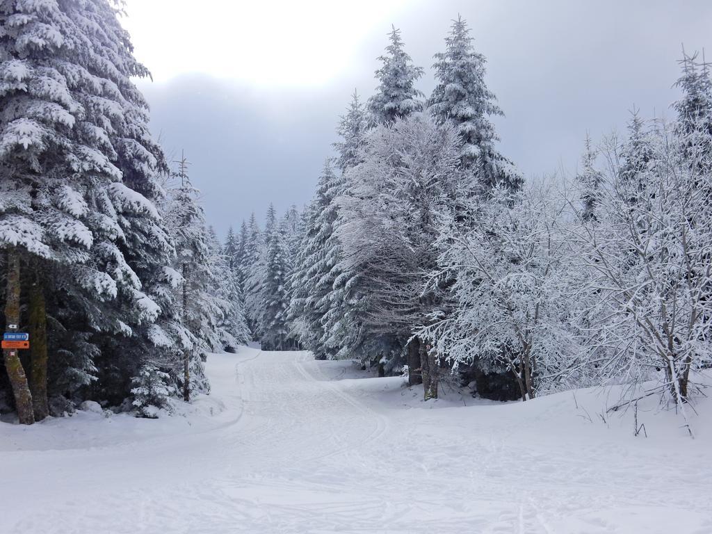 Chalet Les Sapins Argentes Gerardmer Exterior photo