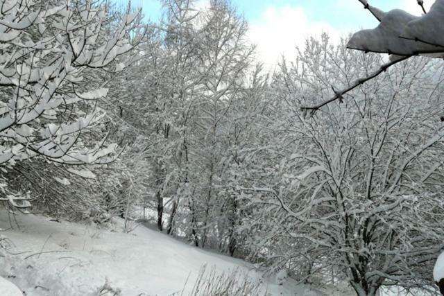 Chalet Les Sapins Argentes Gerardmer Room photo